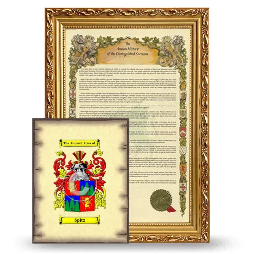 Spitz Framed History and Coat of Arms Print - Gold