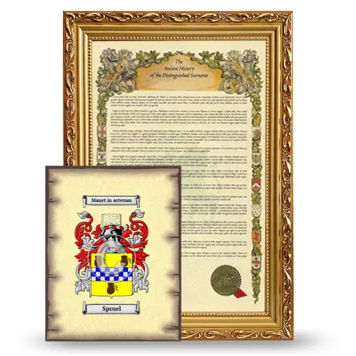 Spruel Framed History and Coat of Arms Print - Gold