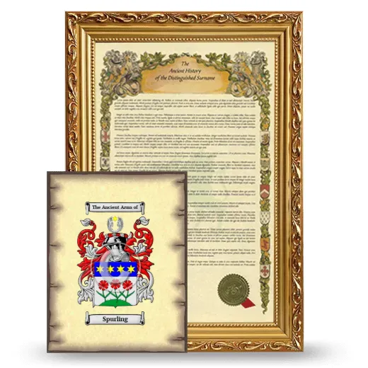 Spurling Framed History and Coat of Arms Print - Gold