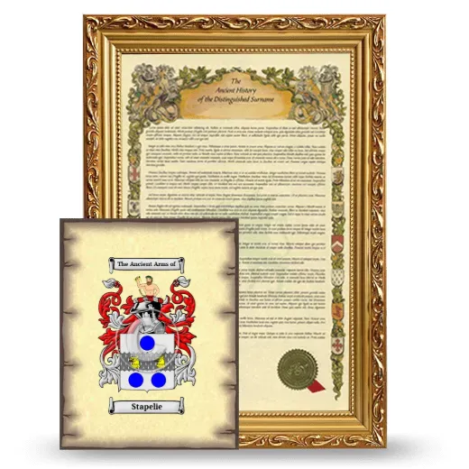 Stapelie Framed History and Coat of Arms Print - Gold