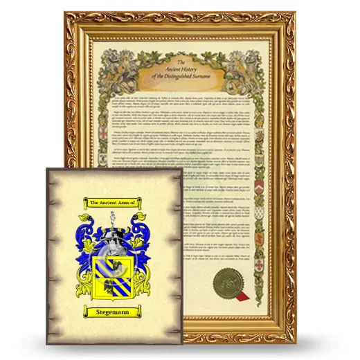 Stegemann Framed History and Coat of Arms Print - Gold