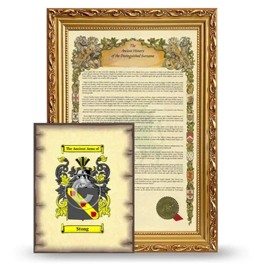 Stong Framed History and Coat of Arms Print - Gold