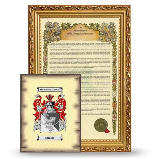Strable Framed History and Coat of Arms Print - Gold