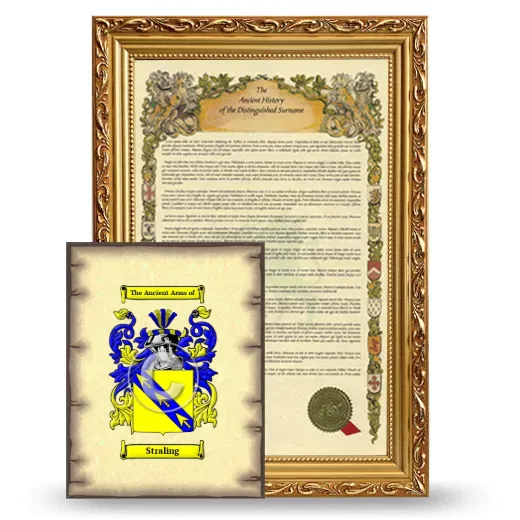 Straling Framed History and Coat of Arms Print - Gold