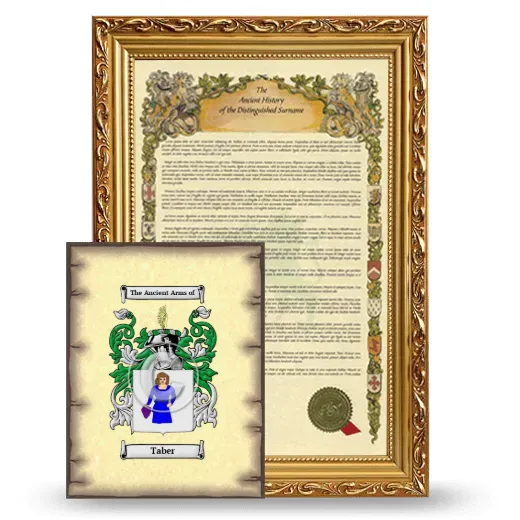 Taber Framed History and Coat of Arms Print - Gold