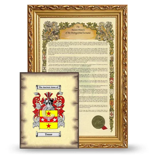 Tease Framed History and Coat of Arms Print - Gold