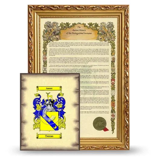 Terras Framed History and Coat of Arms Print - Gold