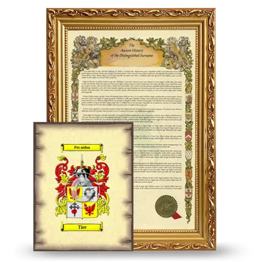 Tire Framed History and Coat of Arms Print - Gold