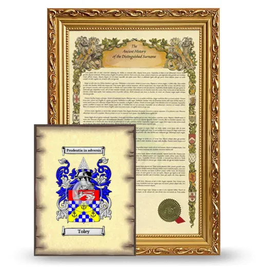 Toley Framed History and Coat of Arms Print - Gold