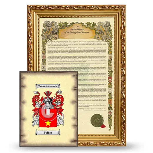 Toling Framed History and Coat of Arms Print - Gold
