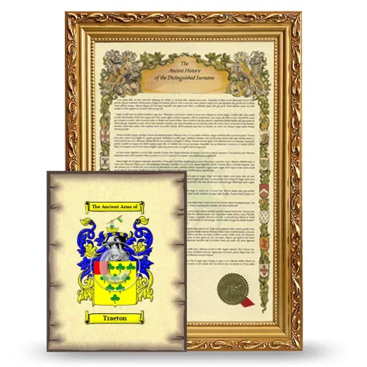 Traeton Framed History and Coat of Arms Print - Gold