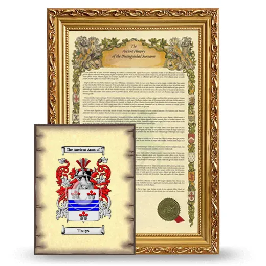 Trays Framed History and Coat of Arms Print - Gold