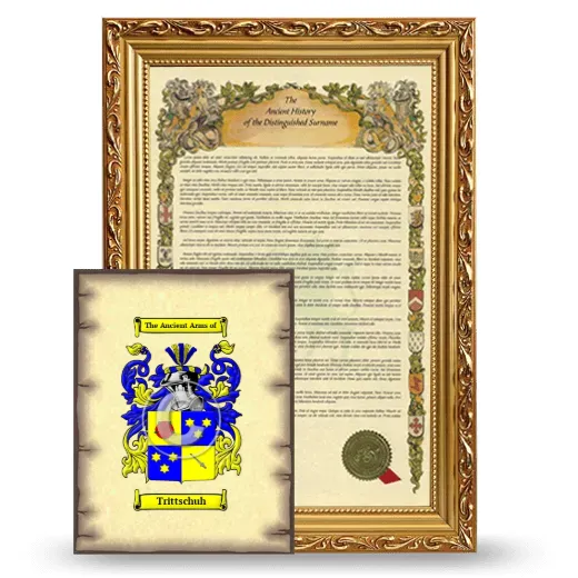 Trittschuh Framed History and Coat of Arms Print - Gold