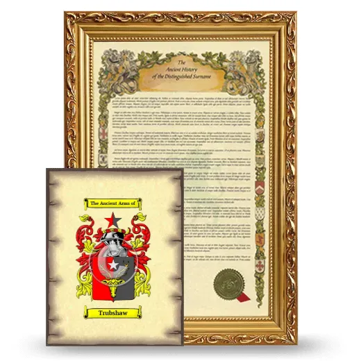 Trubshaw Framed History and Coat of Arms Print - Gold
