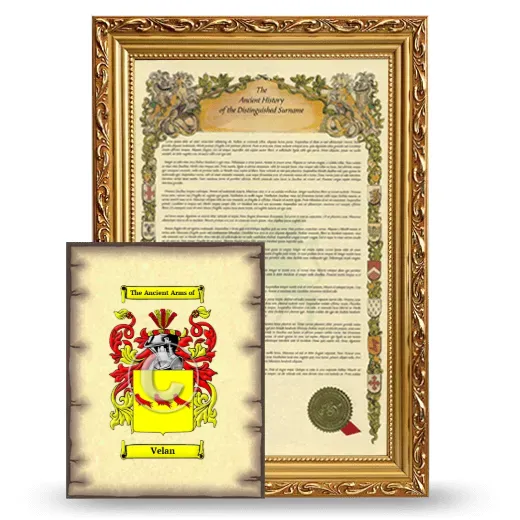 Velan Framed History and Coat of Arms Print - Gold