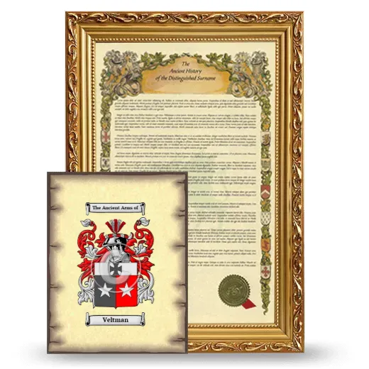 Veltman Framed History and Coat of Arms Print - Gold