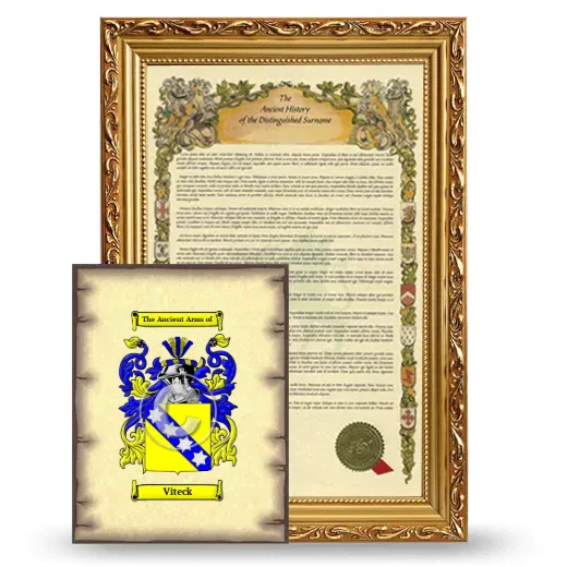 Viteck Framed History and Coat of Arms Print - Gold