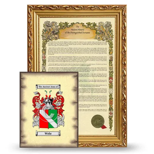 Wahr Framed History and Coat of Arms Print - Gold