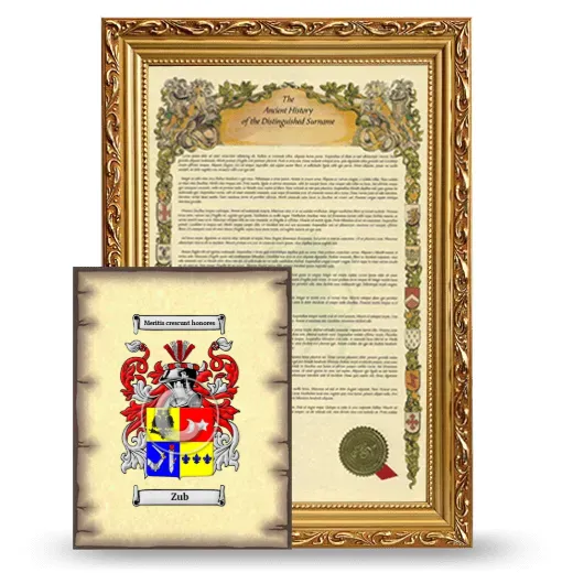 Zub Framed History and Coat of Arms Print - Gold