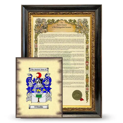 O'Doolin Framed History and Coat of Arms Print - Heirloom
