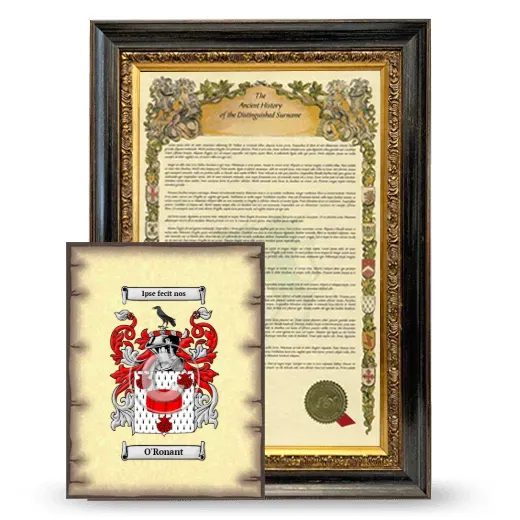 O'Ronant Framed History and Coat of Arms Print - Heirloom