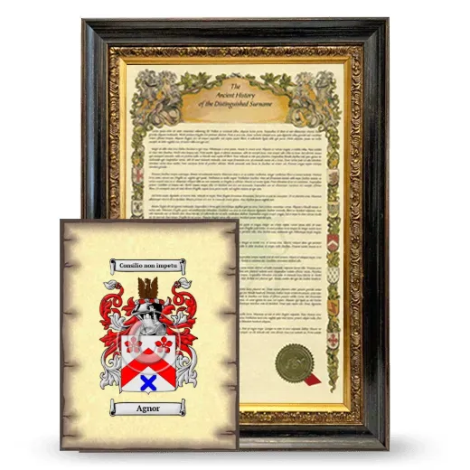Agnor Framed History and Coat of Arms Print - Heirloom