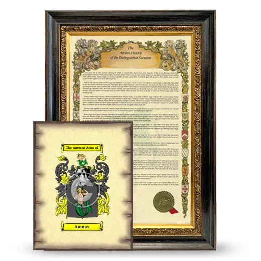 Ammer Framed History and Coat of Arms Print - Heirloom