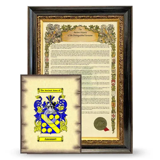Amonnet Framed History and Coat of Arms Print - Heirloom