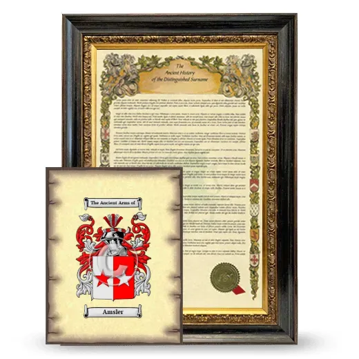 Amsler Framed History and Coat of Arms Print - Heirloom