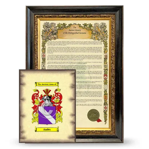 Andes Framed History and Coat of Arms Print - Heirloom