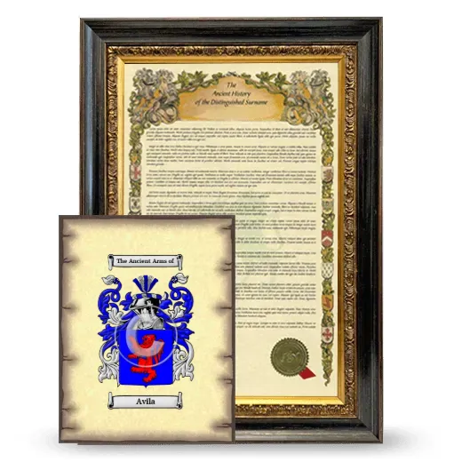 Avila Framed History and Coat of Arms Print - Heirloom