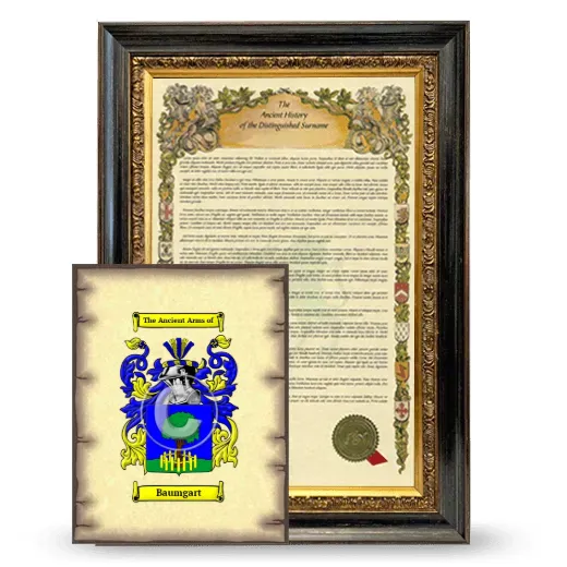 Baumgart Framed History and Coat of Arms Print - Heirloom