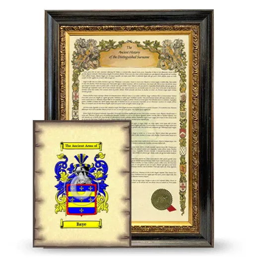 Baye Framed History and Coat of Arms Print - Heirloom