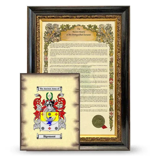 Bigemant Framed History and Coat of Arms Print - Heirloom