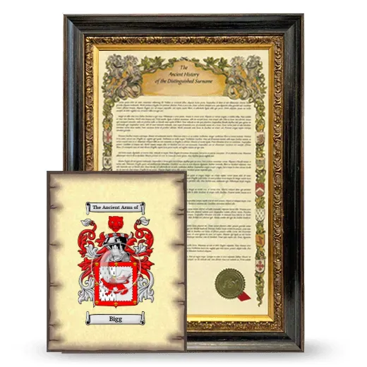 Bigg Framed History and Coat of Arms Print - Heirloom
