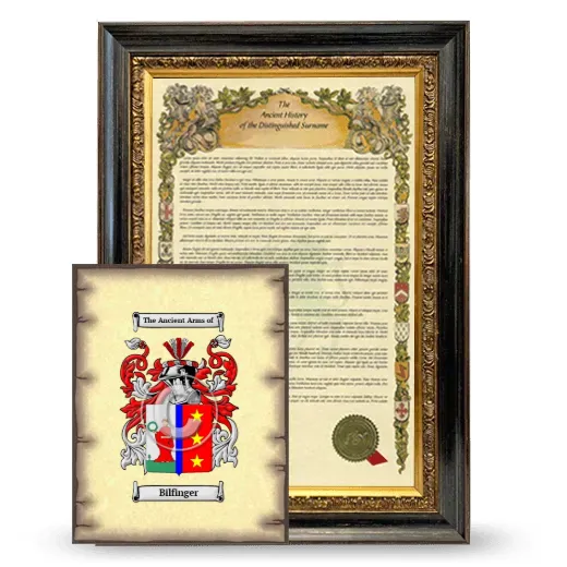 Bilfinger Framed History and Coat of Arms Print - Heirloom