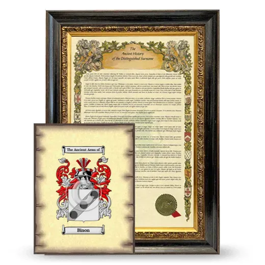 Binon Framed History and Coat of Arms Print - Heirloom