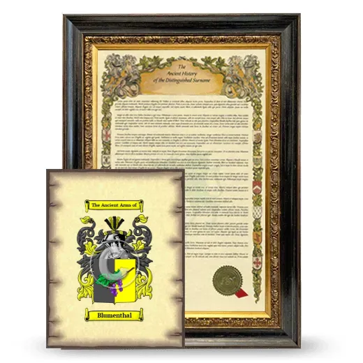 Blumenthal Framed History and Coat of Arms Print - Heirloom
