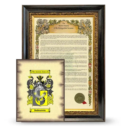 Bodenstein Framed History and Coat of Arms Print - Heirloom