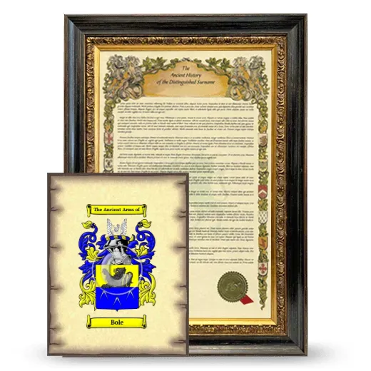 Bole Framed History and Coat of Arms Print - Heirloom