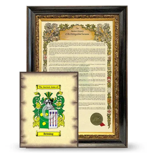 Brüning Framed History and Coat of Arms Print - Heirloom