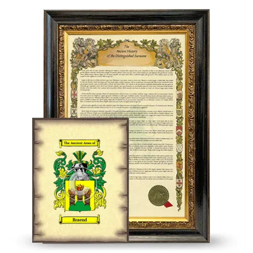Braend Framed History and Coat of Arms Print - Heirloom