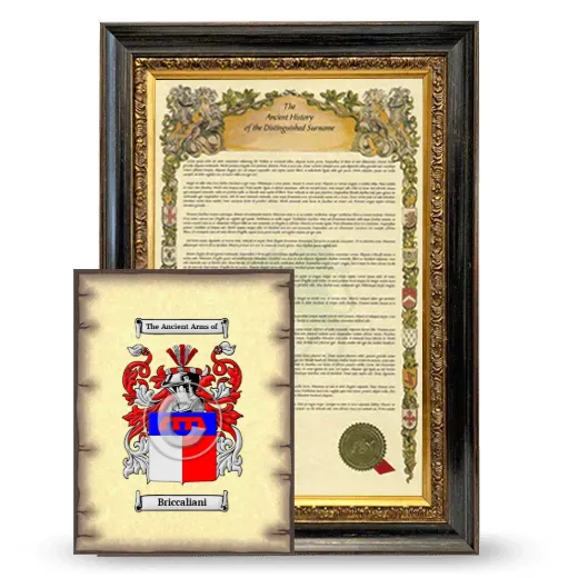 Briccaliani Framed History and Coat of Arms Print - Heirloom