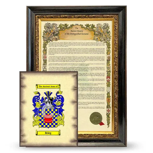 Brieg Framed History and Coat of Arms Print - Heirloom