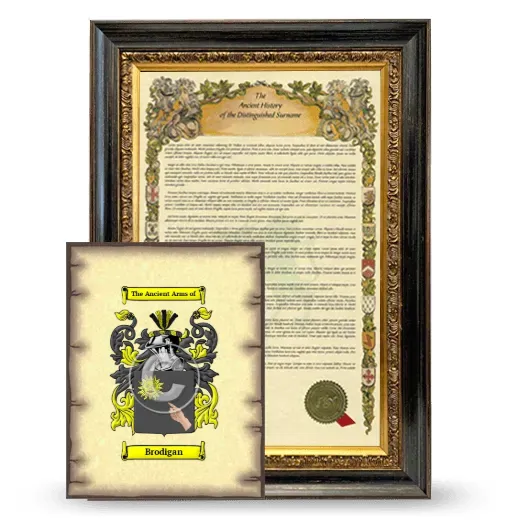 Brodigan Framed History and Coat of Arms Print - Heirloom