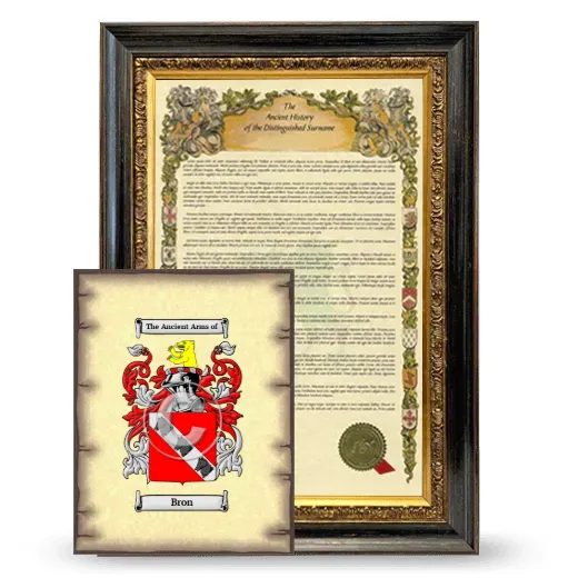 Bron Framed History and Coat of Arms Print - Heirloom