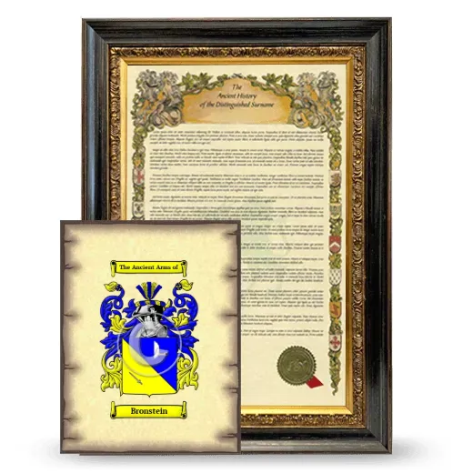 Bronstein Framed History and Coat of Arms Print - Heirloom
