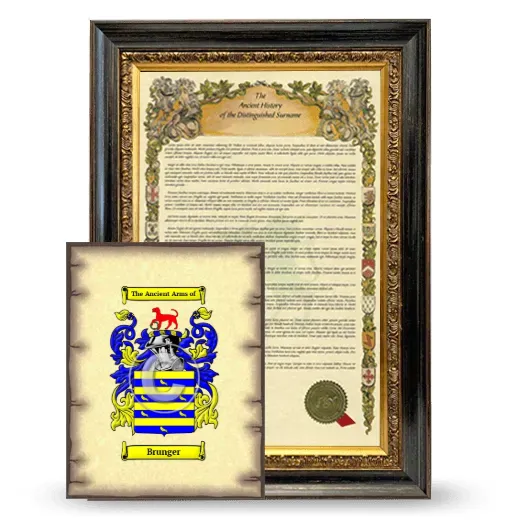 Brunger Framed History and Coat of Arms Print - Heirloom