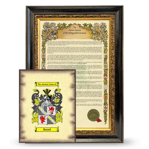 Brusel Framed History and Coat of Arms Print - Heirloom