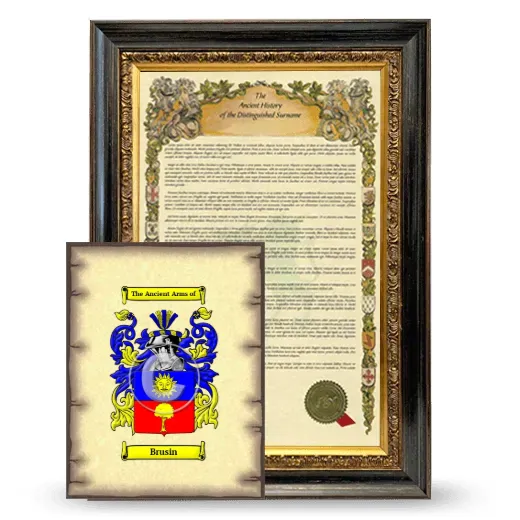 Brusin Framed History and Coat of Arms Print - Heirloom